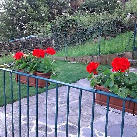 Vanni'S House Cannobio Exterior photo