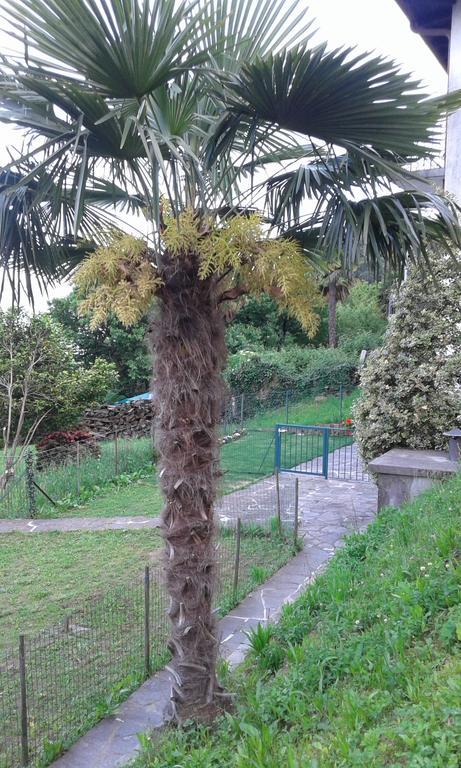 Vanni'S House Cannobio Exterior photo