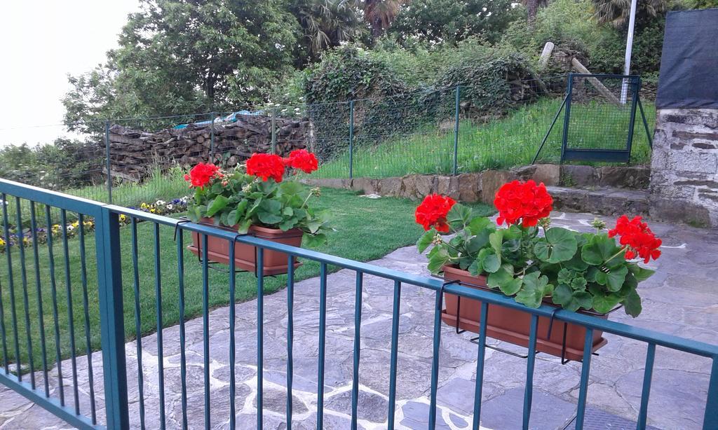 Vanni'S House Cannobio Exterior photo